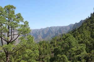 La palma caldera taburiente